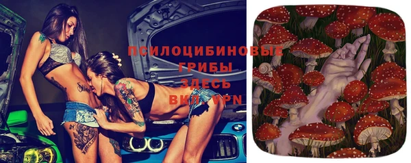 круглые Алзамай