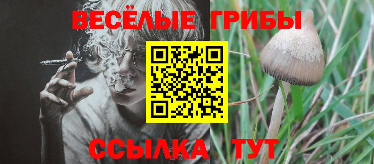Галлюциногенные грибы прущие грибы Карабулак